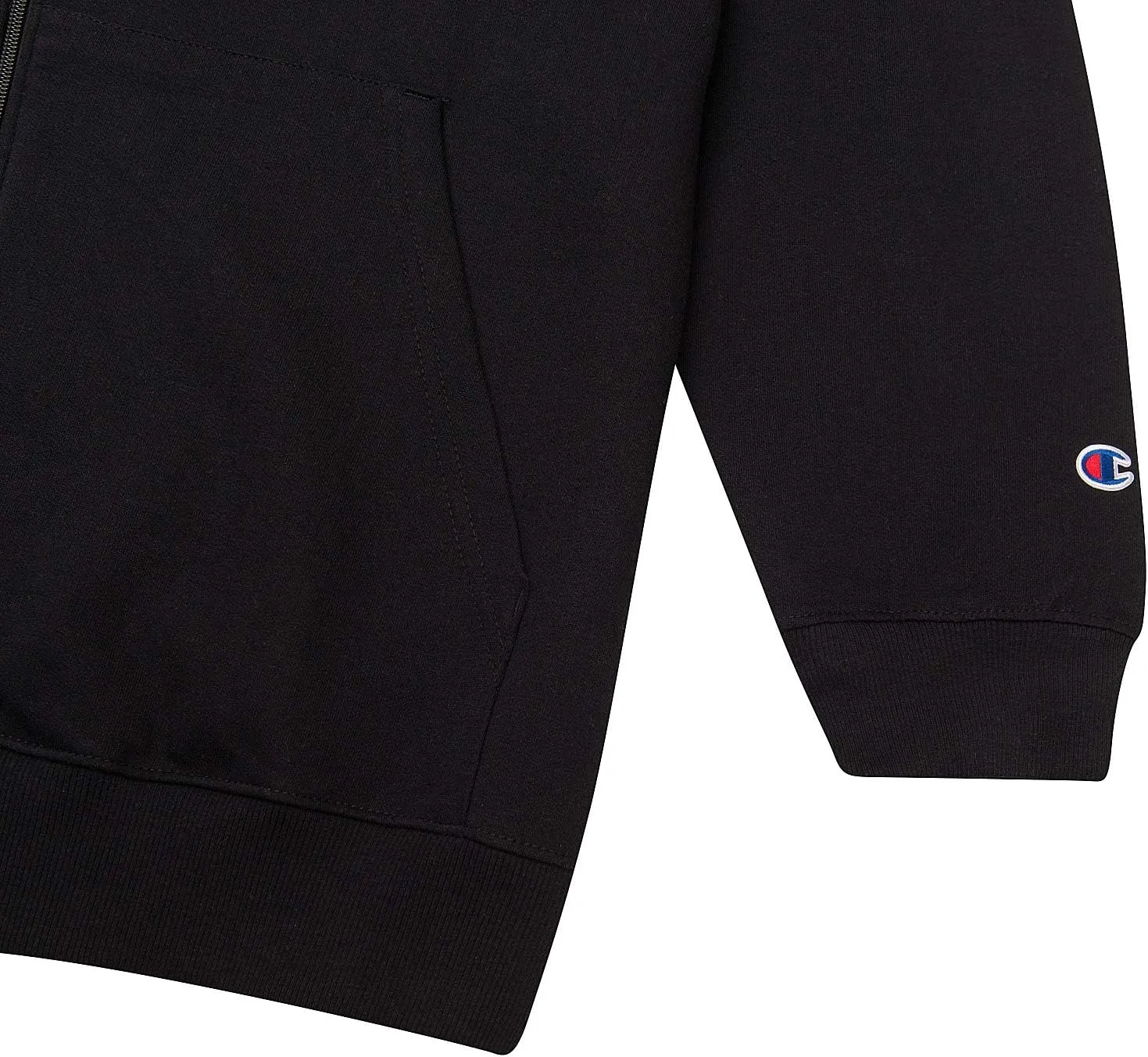 Champion Big and Tall Zip Up Hoodies for Men  Mens Fleece Zip Up Hoodie Jacket